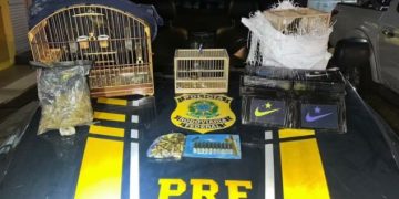 Mulher é presa com drogas, munições, TV Box e aves silvestres na BR-116 em Feira de Santana
