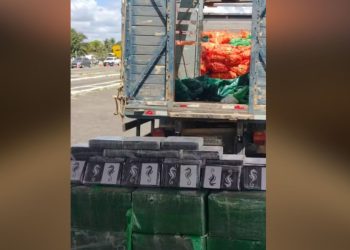 Motorista é preso com 500 kg de cocaína escondidos em carga de cebolas na BA-502