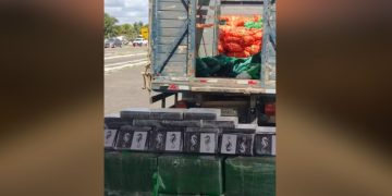 Motorista é preso com 500 kg de cocaína escondidos em carga de cebolas na BA-502