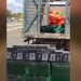 Motorista é preso com 500 kg de cocaína escondidos em carga de cebolas na BA-502