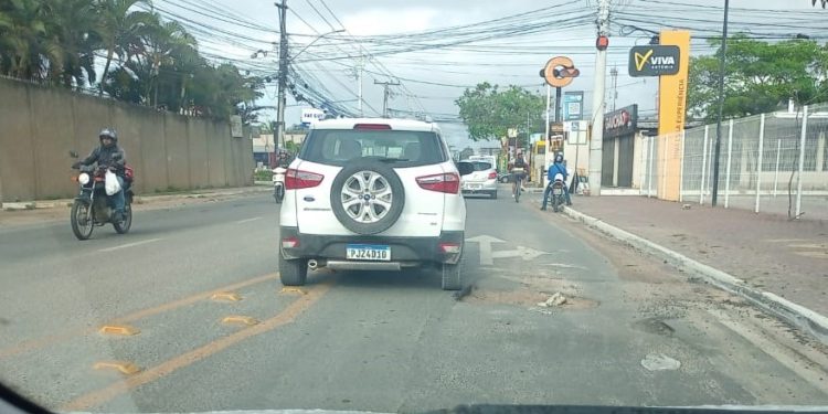 O retrato da buraqueira na Artêmia Pires: A via do crescimento sob stress em Feira de Santana