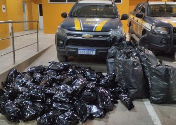 PRF apreende mais de 100 kg de maconha em Simões Filho, na BR-324