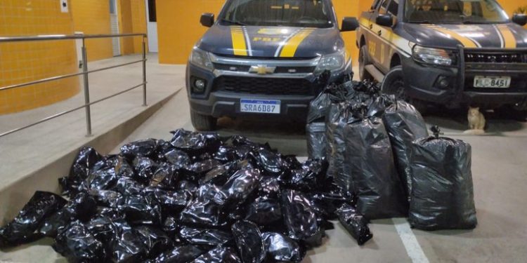 PRF apreende mais de 100 kg de maconha em Simões Filho, na BR-324