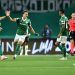 Palmeiras goleia LDU e avança à final da Libertadores contra o Flamengo