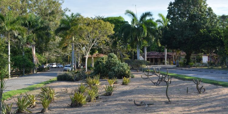 Brinca Feira transforma o Parque da Cidade em grande espaço de lazer neste domingo (12)