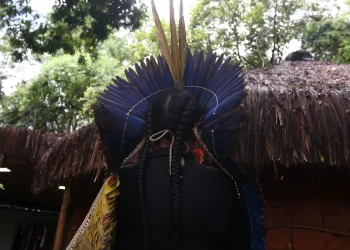 Polícia Federal e Polícia Civil investigam ataques contra povo Pataxó no extremo sul da Bahia