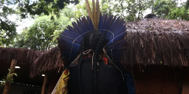 Polícia Federal e Polícia Civil investigam ataques contra povo Pataxó no extremo sul da Bahia