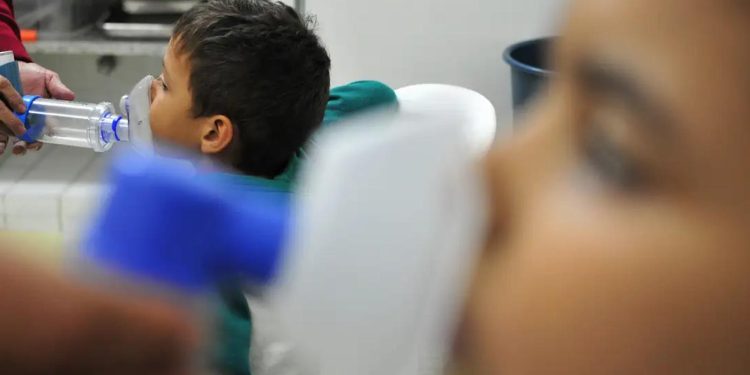 Influenza A é responsável por mais da metade das mortes por síndrome respiratória aguda grave em 2025, aponta Fiocruz