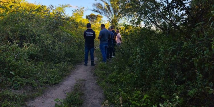 Corpo de homem é encontrado amarrado e com sinais de execução em área de mata no Aviário