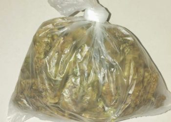 65ª CIPM apreende drogas e prende mulher durante ação no bairro Aviário