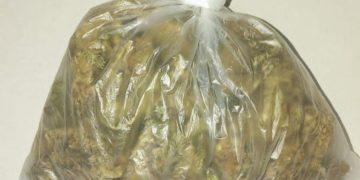 65ª CIPM apreende drogas e prende mulher durante ação no bairro Aviário