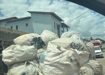 Lixo a céu aberto vira pesadelo em rua do Bairro Conceição