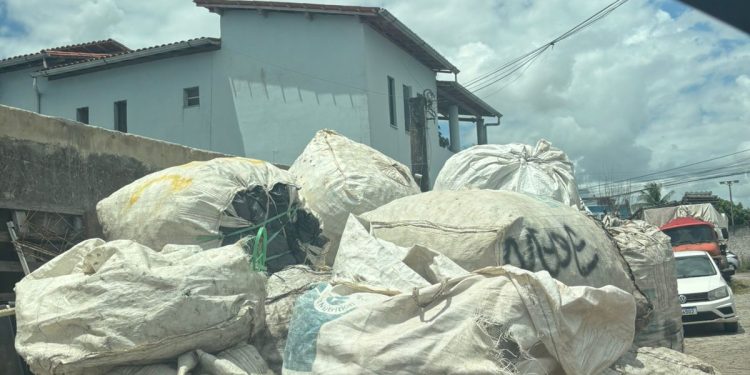 Lixo a céu aberto vira pesadelo em rua do Bairro Conceição