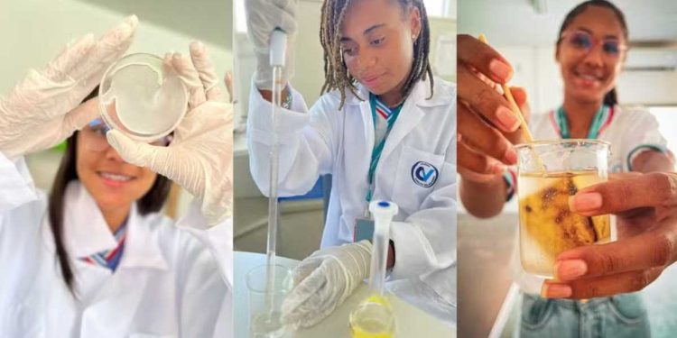 Estudantes do interior da Bahia criam biofilme sustentável para conservar alimentos