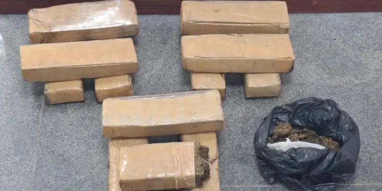 PM apreende grande quantidade de drogas escondidas em obra na Queimadinha