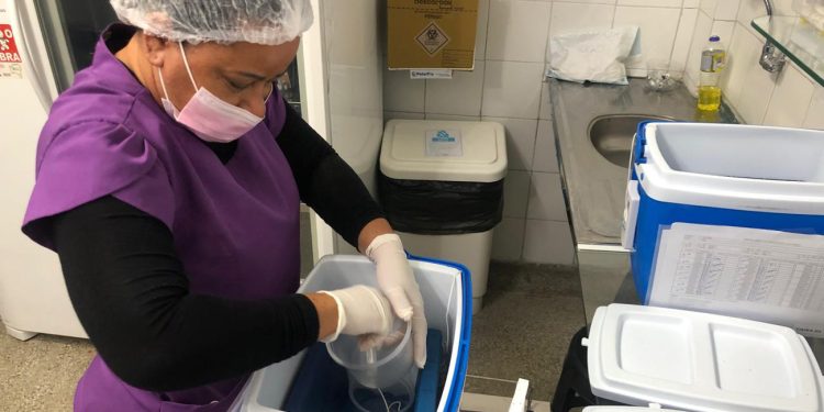 Hospital da Mulher passa a aplicar vacina contra bronquiolite em gestantes em Feira de Santana