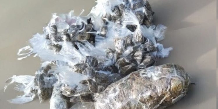 Polícia Militar prende suspeitos e apreende drogas em Amélia Rodrigues