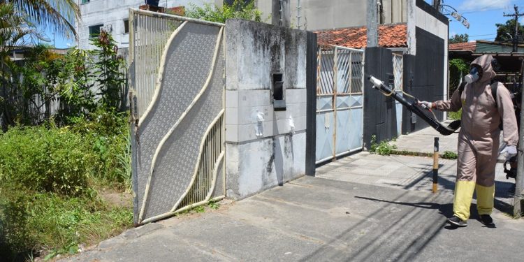 Feira de Santana reduz em 94,5% os casos de dengue em 2025